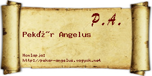 Pekár Angelus névjegykártya